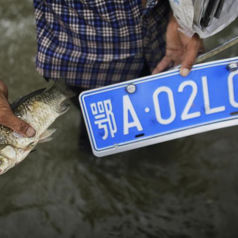 武汉市车牌号几位数？