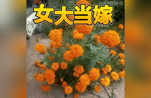 宝宝起名男姓彭怎么取(女性心里有了其他男人)