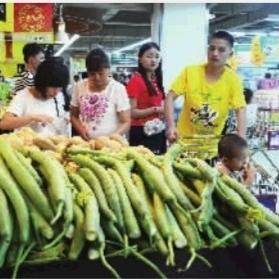 【长沙今日菜价】2025年6月28日长沙菜价是多少