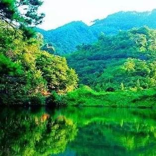 2025.11.20佛山今天空气质量指数怎么样