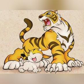 本周属虎运势红榜生肖(本周属虎的运势)