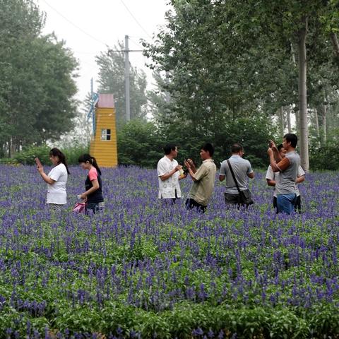 济南市市中区景色怎么样