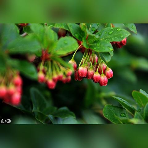 生长贴哪里有卖？