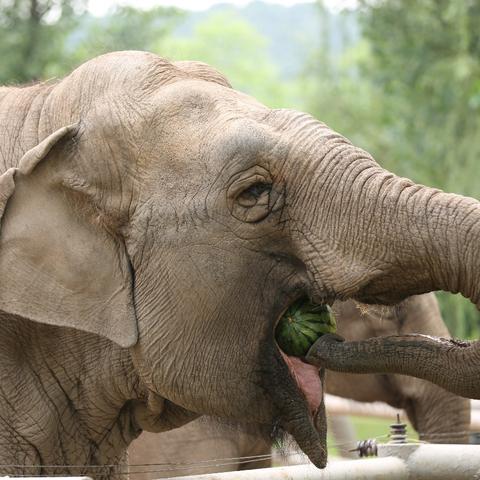 去沈阳动物园坐几路车相关长尾关键词有哪些