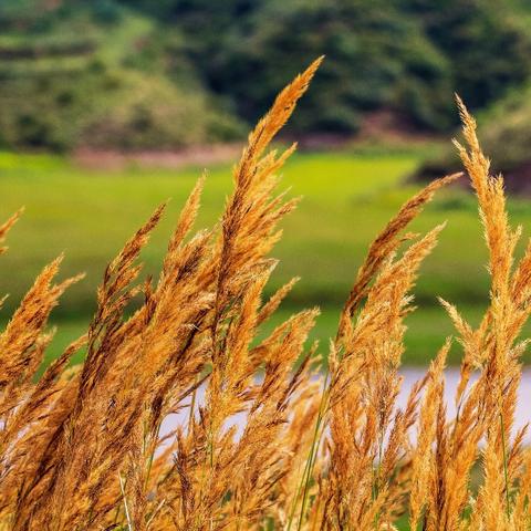 石家庄市北京的什么