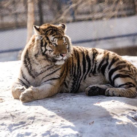 哈尔滨东方学院风拍照相关长尾关键词有哪些