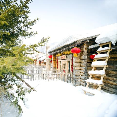 哈尔滨市占地多少亩