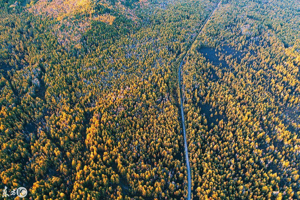 映入眼帘是什么意思什么入什眼四字词语