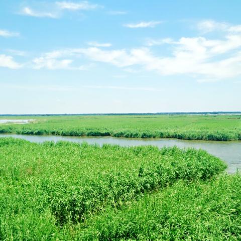 保定市去哪里旅游好玩