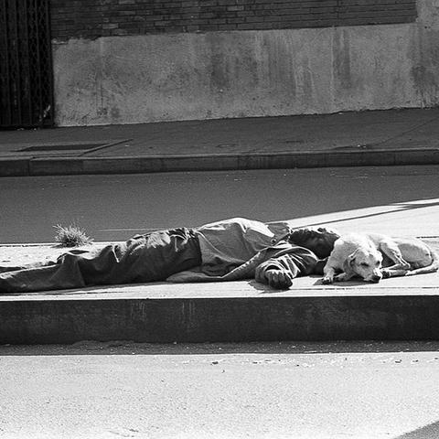 长春市世纪街道人口多少