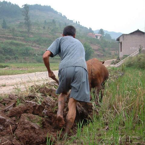 云南与重庆哪个好玩一点