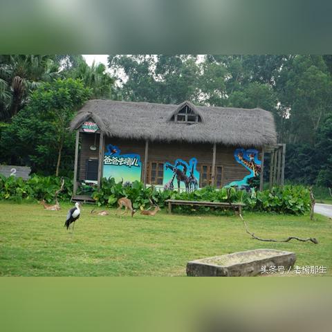 广州到南宁旅游的相关长尾关键词有哪些