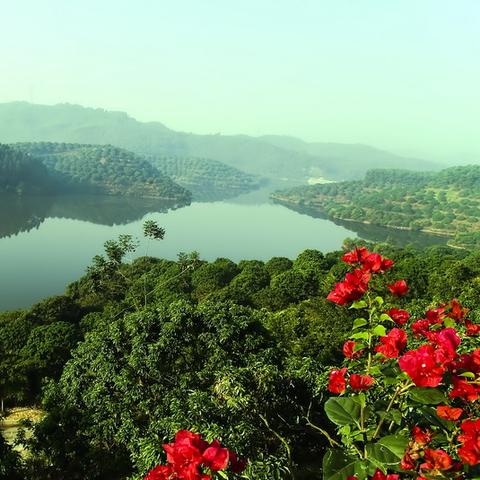东莞市去哪里比较好玩