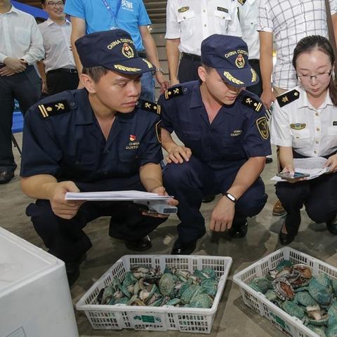 跨境哪个平台下单