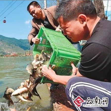 呈贡哪里小吃最多？