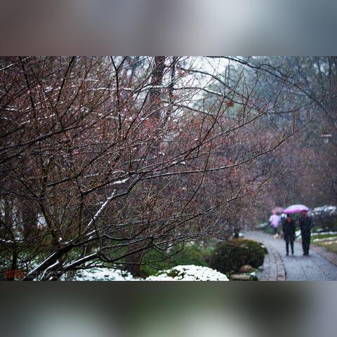 杭州一年四季天气怎样？