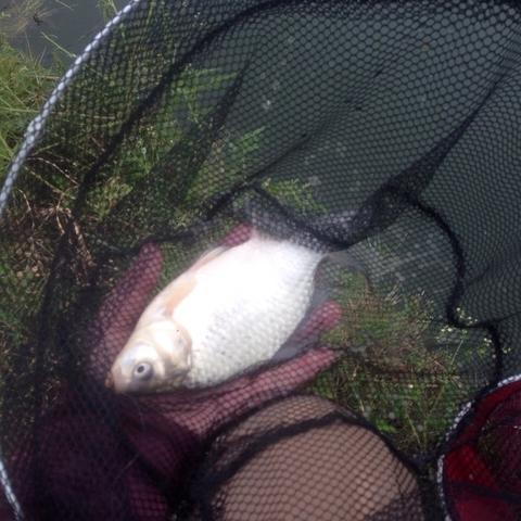 厦门可以野钓的地方？