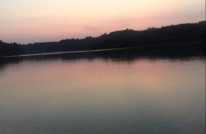 夜钓水面的鱼是什么鱼 一般在水面打水的是什么鱼 爱游钓鱼网 夜钓水面的鱼是什么鱼 一般在水面打水的是什么鱼 爱游钓鱼网