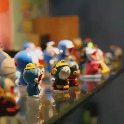 合肥市哪里有大樱桃树