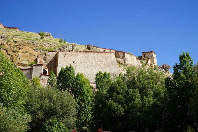 梦境的回响，解析最近做梦老梦见死去的人的深层含义