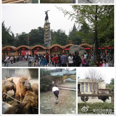 成都市区哪里吃喝玩都有