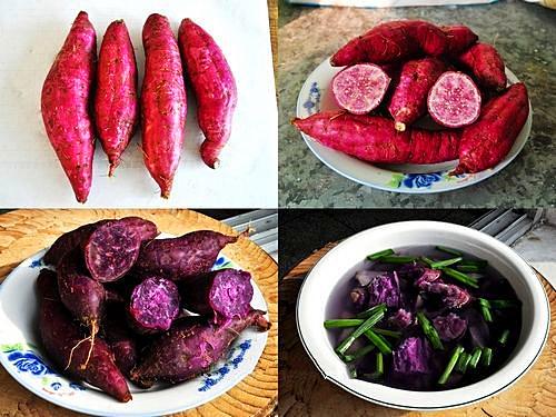 汉中有什么美食特产（陕西秦岭有哪些土特产）