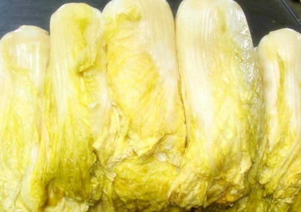 大棚里有什么美食（我想在城市搞个大棚种植蔬菜）