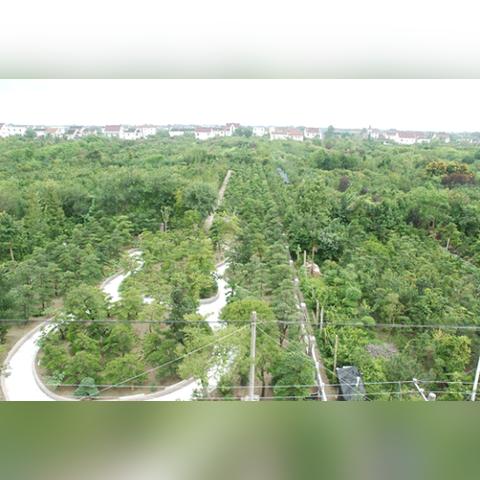 南通市本土人口多少