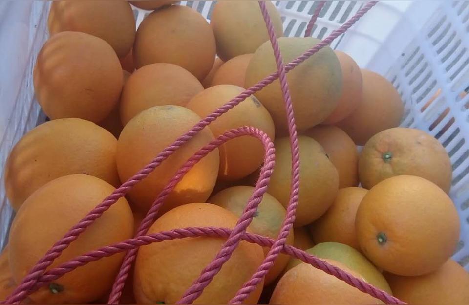江西赣州水果特产有哪些品牌赣南的什么特产享誉全国