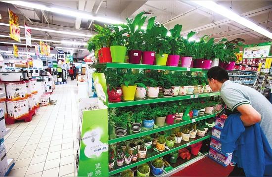 乐山花鸟鱼虫市场:赵县花鸟鱼虫市场在那