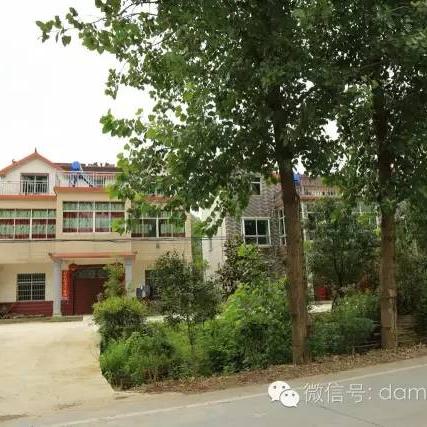 合肥市枞阳路在哪个区