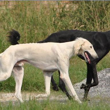 在山东做什么生意好呀的长尾关键词有哪些