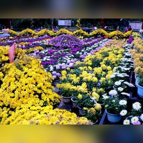 哈尔滨尚志楼盘相关长尾关键词有哪些