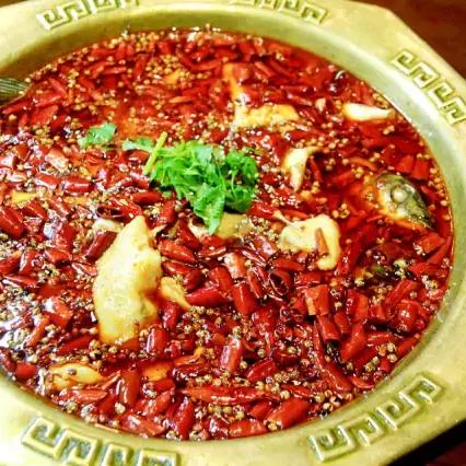 桂林市辣椒新品种有哪些