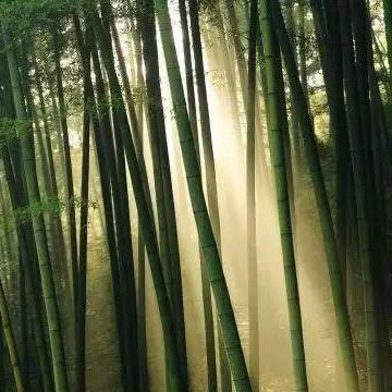 无锡市大自然装修怎么样