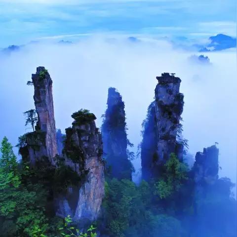 武汉市哪个区人少