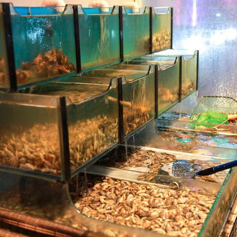 大连市开个海鲜店怎么样