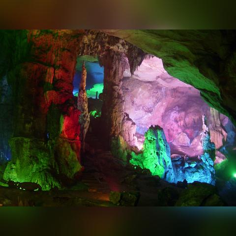 赣州市教师证怎么查询