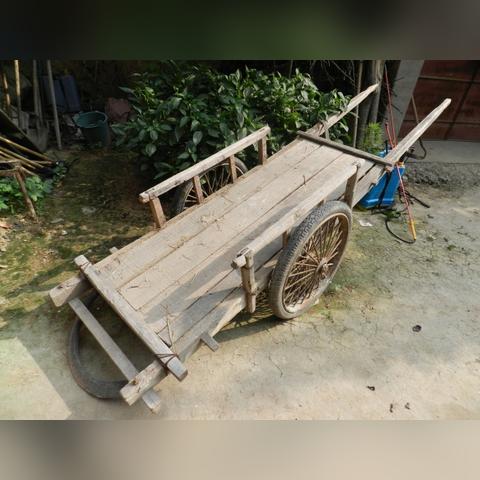 河南割芝麻的相关长尾关键词有哪些