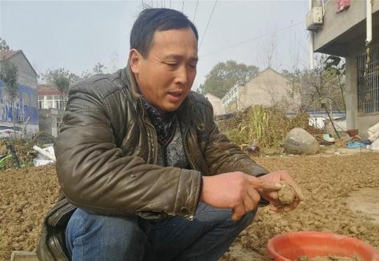 搞农业种植不赚钱？很多农村人在这3点上吃过亏，都是易犯的错误