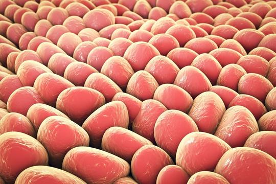 并不是生物的病毒到底有多可怕，我们对这种生物体了解真的很有限