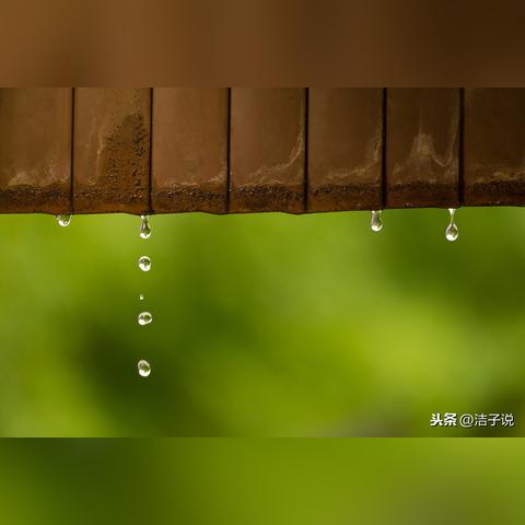 河南禅宗果的相关长尾关键词有哪些