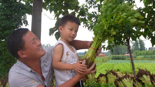 农村大哥被称为蔬菜种植能手，透露年赚10万的窍门，模仿有难度