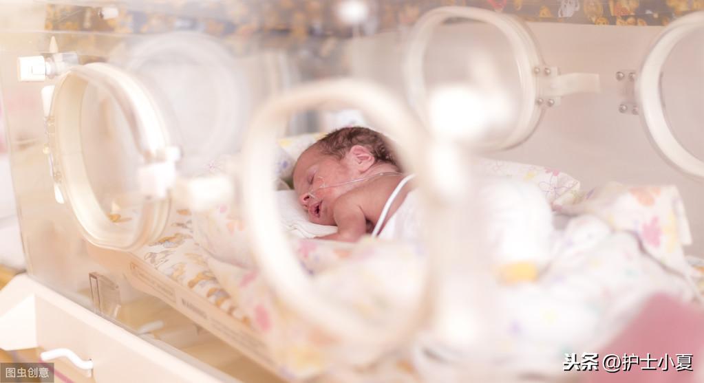 早产儿配方乳的渗透压(老婆怀孕28周)