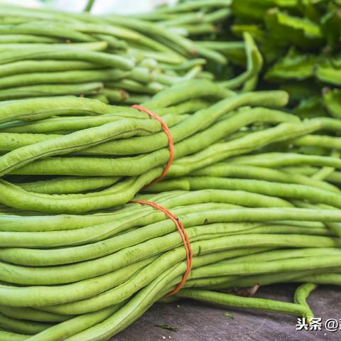 【天津今日菜价】2025年4月6日天津菜价是多少