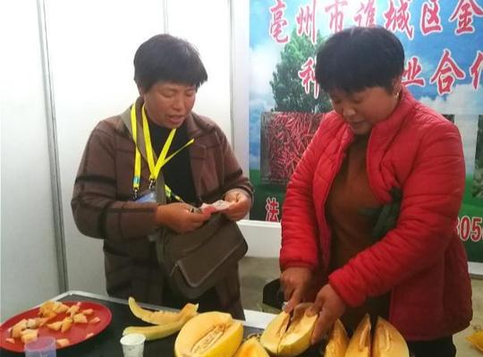 农村人搞特色作物种植，用汗与泪总结3点赚钱经验，拿到手就能用