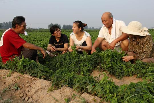 农村合作社致富带头人，做好这些很重要，这些条件你具备了吗？
