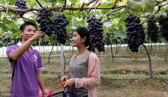 夫妻2人、零经验，在农村创业，有什么好的赚钱好项目推荐？