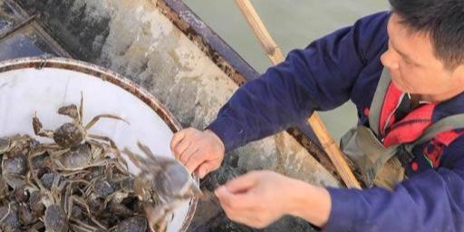 2019年农村有哪些“水产养殖项目赚钱”？这几种选择，不妨试试