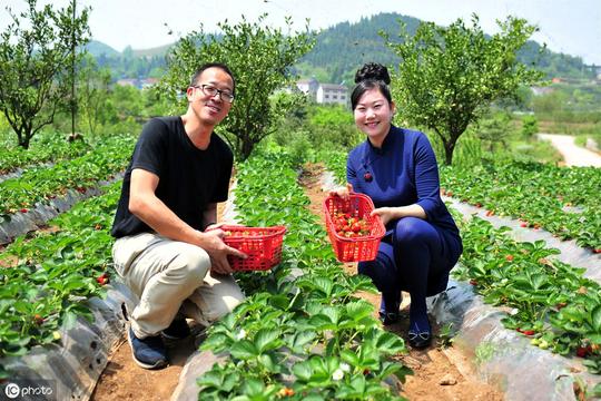我这7年在农村创业的经验分享：青年农民返乡应该选择这5个方向
